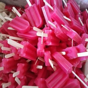 Grove Shaped Ice Lollies Mould